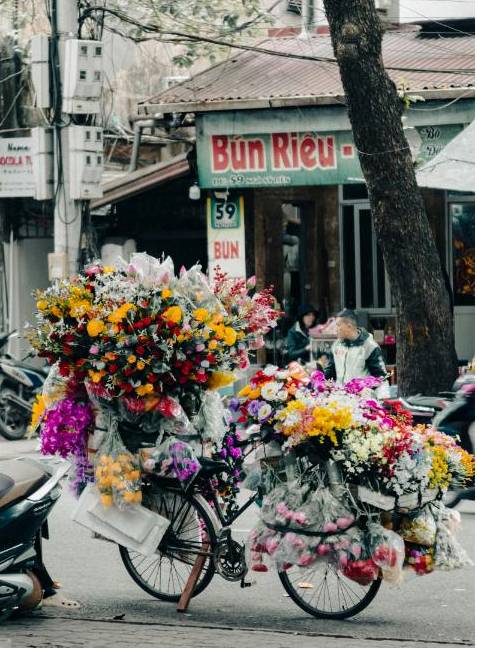 Floral design copyright