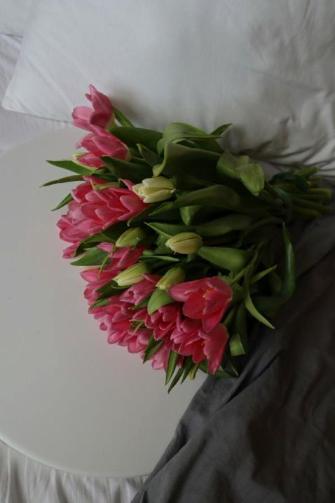 Fresh beginner floristry arrangement