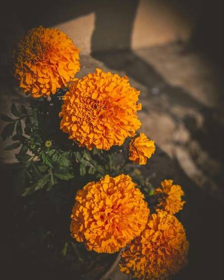 Student bouquet 1